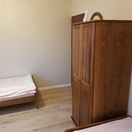 Kaktus * Krakkó
