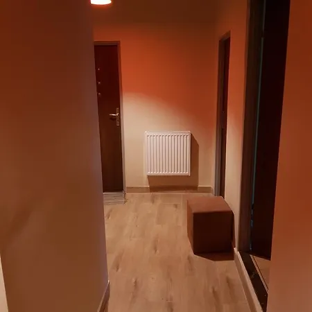 Kaktus Krakkó