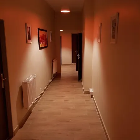 Vandrarhem Kaktus Kraków